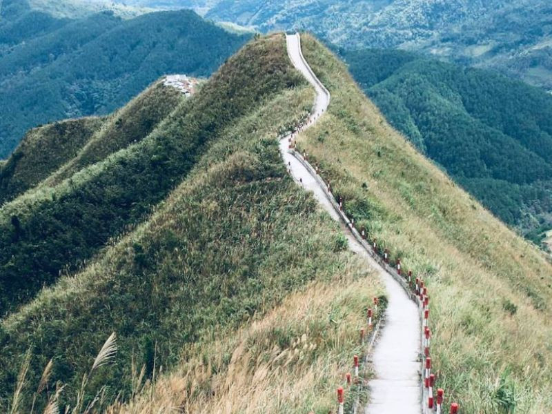 Không thể bỏ lỡ sống lưng khủng long