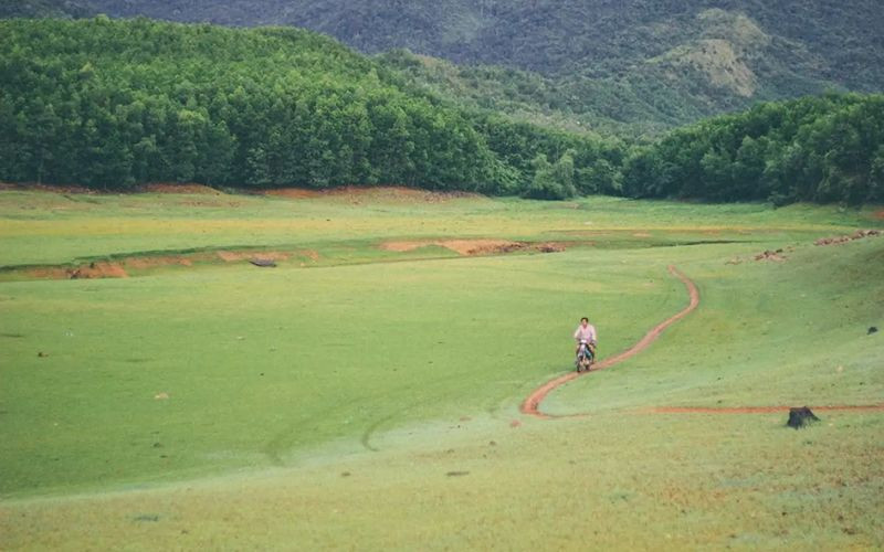 Tận hưởng thiên nhiên xanh 