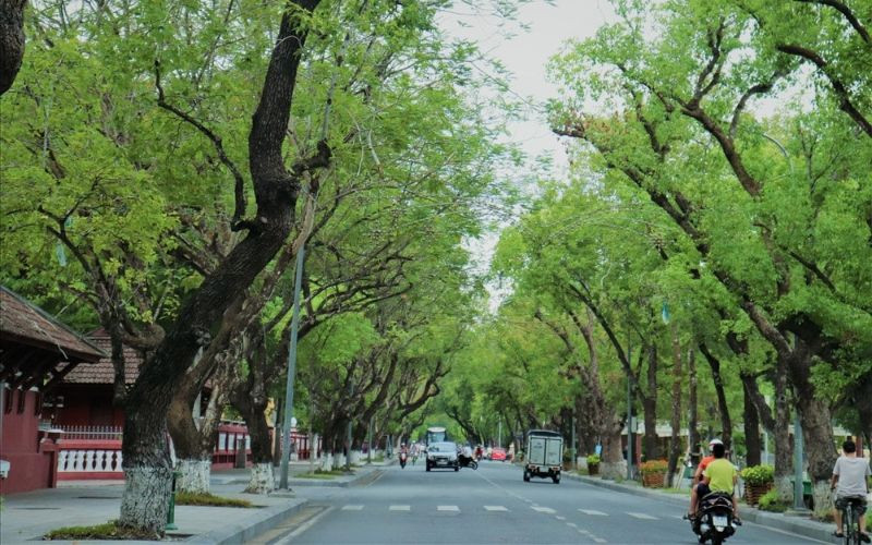 Thuê xe máy tại Huế