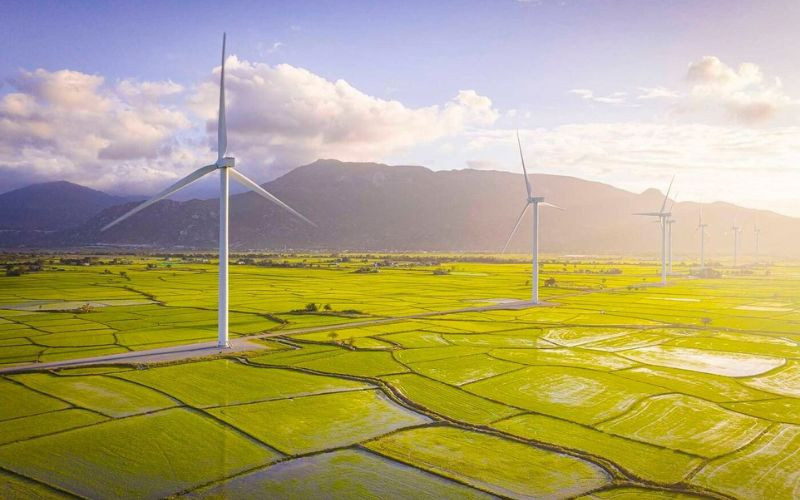 Khung cảnh rộng lớn tại cánh động điện gió Đầm Nại