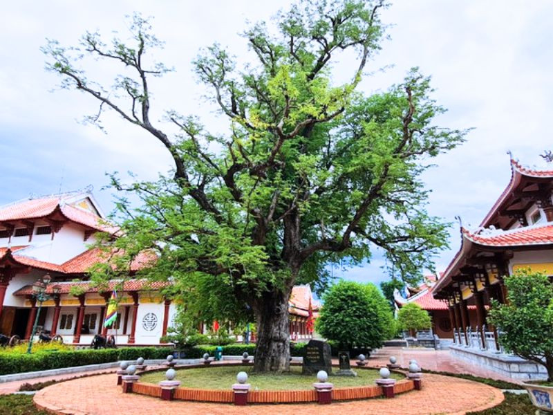Đền thờ Tây Sơn Tam Kiệt - nơi ghi dấu lịch sử Tây Sơn