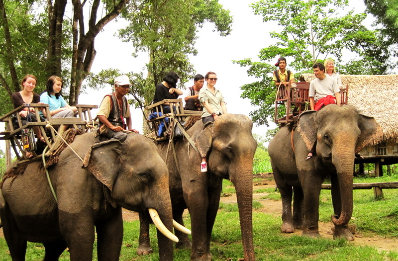 Vườn voi Buôn Ma Thuột