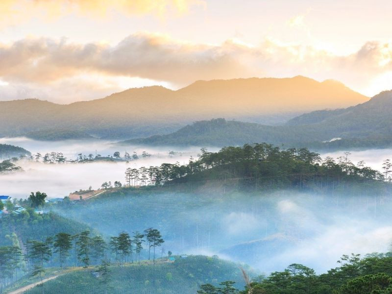 Không khí tại Đà Lạt vào dịp Tết Không khí tại Đà Lạt vào dịp Tết