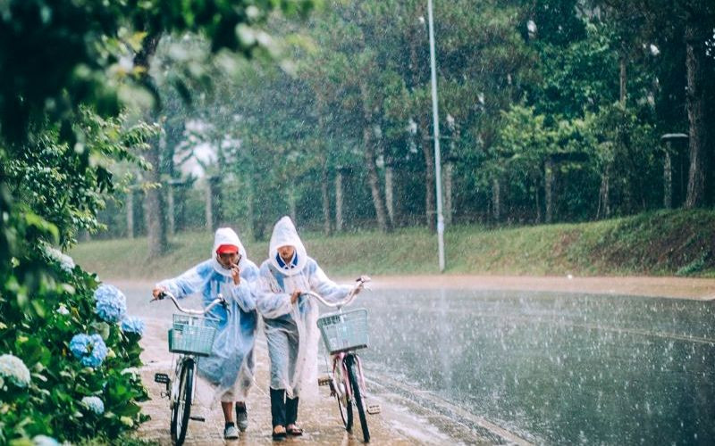 Cần chuẩn bị gì để tránh mùa mưa? 