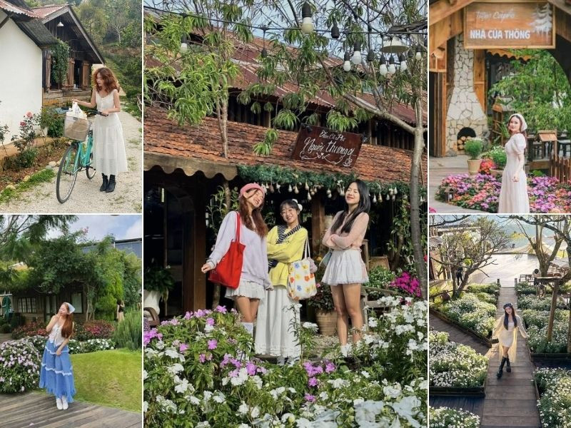 Du lịch Đà Lạt dịp tết ghé đến các tiệm cafe lowkey ít đông
