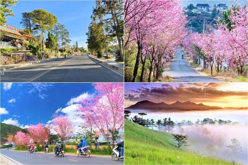Đón Tết giữa sắc hoa rực rỡ và không khí se lạnh