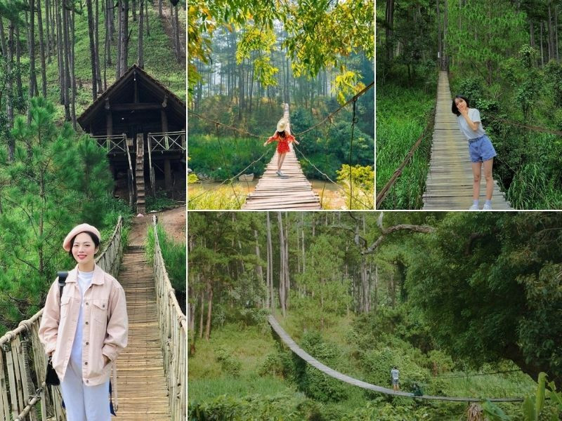 Du lịch Đà Lạt dịp Tết ghé đến Cầu treo La Bá đầy thơ mộng