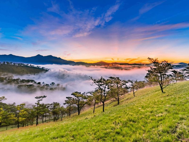 Khung cảnh thiên nhiên của Đà Lạt (ảnh: sưu tầm)