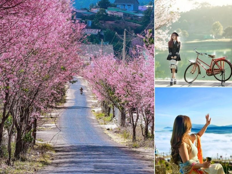 Thời tiết Đà Lạt dịp Tết - Mùa đẹp để du xuân