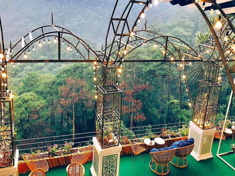Horizon Coffee - quán cafe có view rừng thông siêu đẹp ở Đà Lạt - ảnh 1