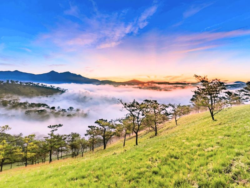 Khung cảnh thơ mộng của Đà Lạt