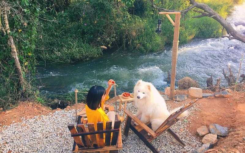 Dog Garden là tín đồ cho những du khách mê thú cưng