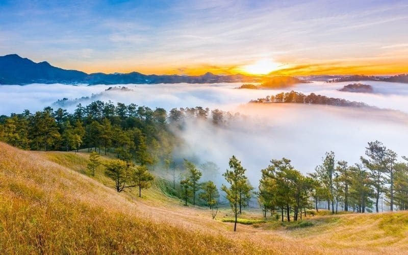Vẻ đẹp của Đà Lạt - thành phố sương mù