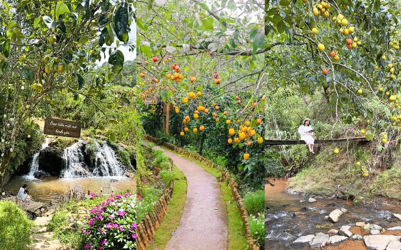 Quán cà phê giúp du khách sống "chậm" lại và thư giãn