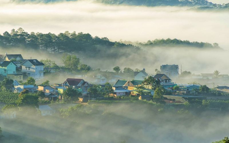 Sương mù tại Đà Lạt tạo không gian huyền ảo Sương mù tại Đà Lạt tạo không gian huyền ảo