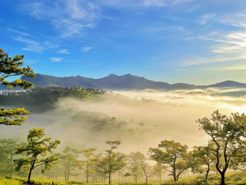 Thời tiết Đà Lạt tháng 11 (ảnh: sưu tầm)