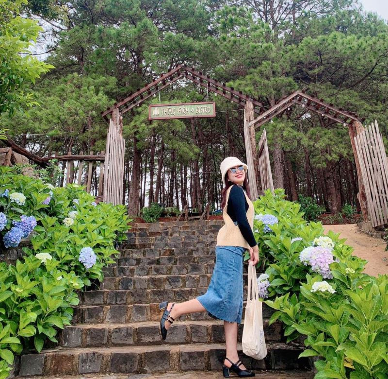 Check-in tại Thông Farm & Bistro