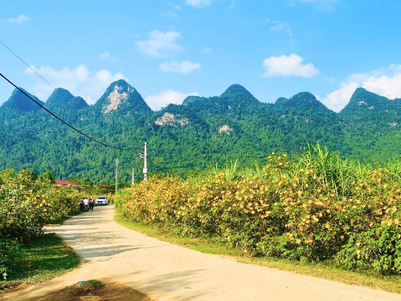 Khung cảnh Tây Nguyên vào mùa hoa dã quỳ cuối năm