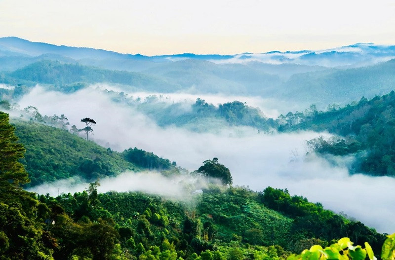 Măng Đen thu hút bởi thiên nhiên hùng vĩ