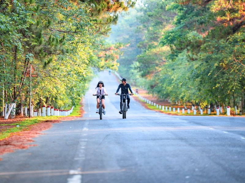 Đạp xe xuyên rừng 