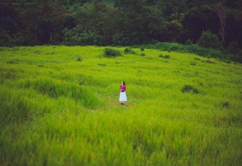 Đồi cỏ Măng Đen với không gian rộng thoáng, phù hợp chụp ảnh ngoài trời 