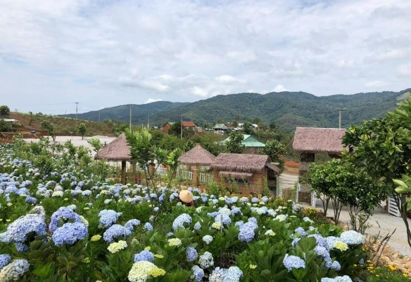 Ê Ban Farm mang đến không gian xanh gần gũi thiên nhiên Măng Đen