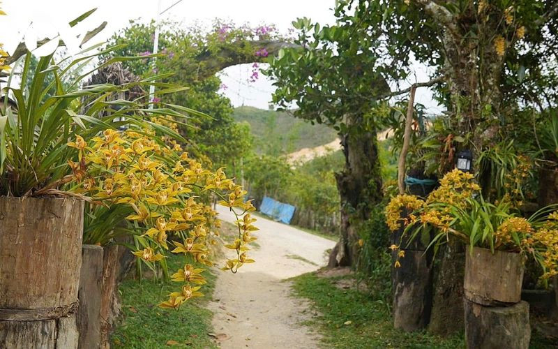 Bắt gặp hoa nở ở khắp nơi trong làng 