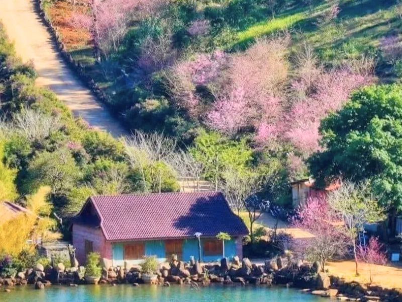 Không khí của Măng Đen vào dịp Tết 