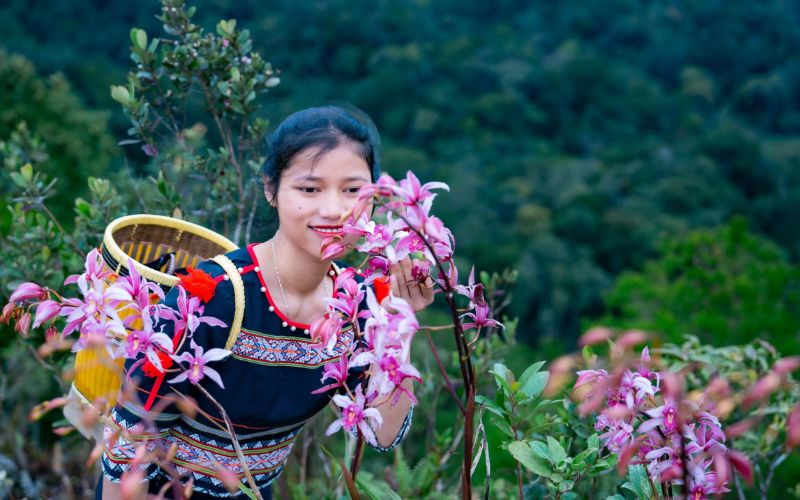 Mùa địa lan nở rộ lãng mạn khiến người ta mê đắm