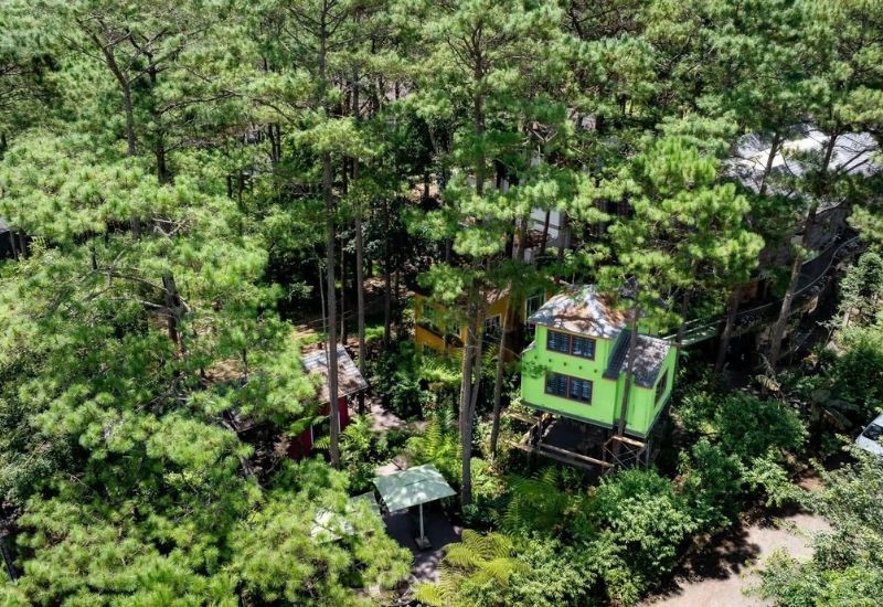Tour Tây Nguyên - Khám phá không gian xinh đẹp của Rosie Garden