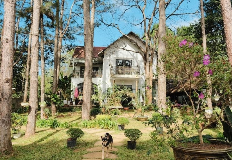 S'Nghe Homestay nằm tại vị trí tuyệt đẹp