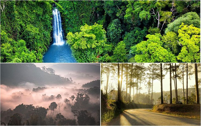 Sau mỗi cơn mưa, khung cảnh tươi mát hơn