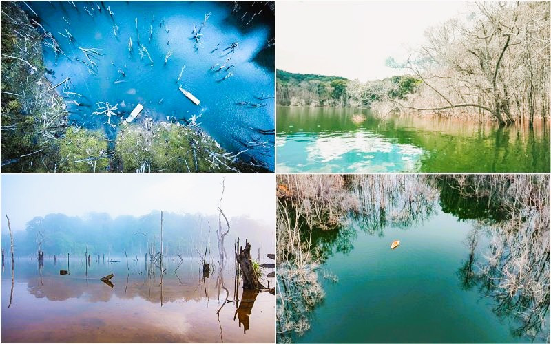 Thả trôi theo thuyền trên mặt hồ bảng lảng 