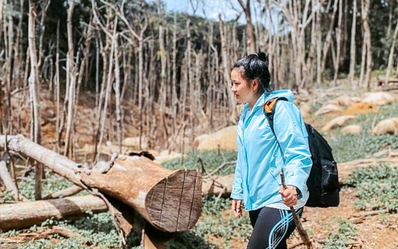 Trải nghiệm khám phá khung cảnh Rừng chết