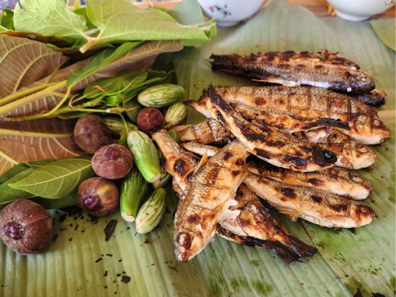Thưởng thức cá suối nướng - đặc sản Tây Nguyên Thưởng thức cá suối nướng - đặc sản Tây Nguyên (ảnh: sưu tầm)