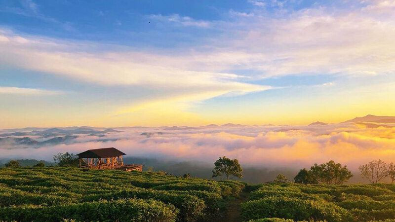 Sự lãng mạn của mùa thu Đà Lạt 