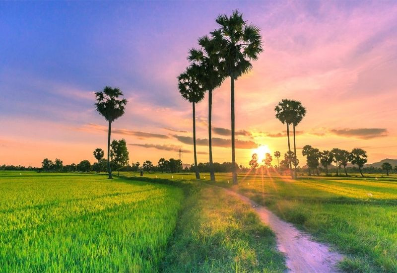 Mùa nước nổi với khung cảnh sông nước yên bình và đậm bản sắc miền Tây