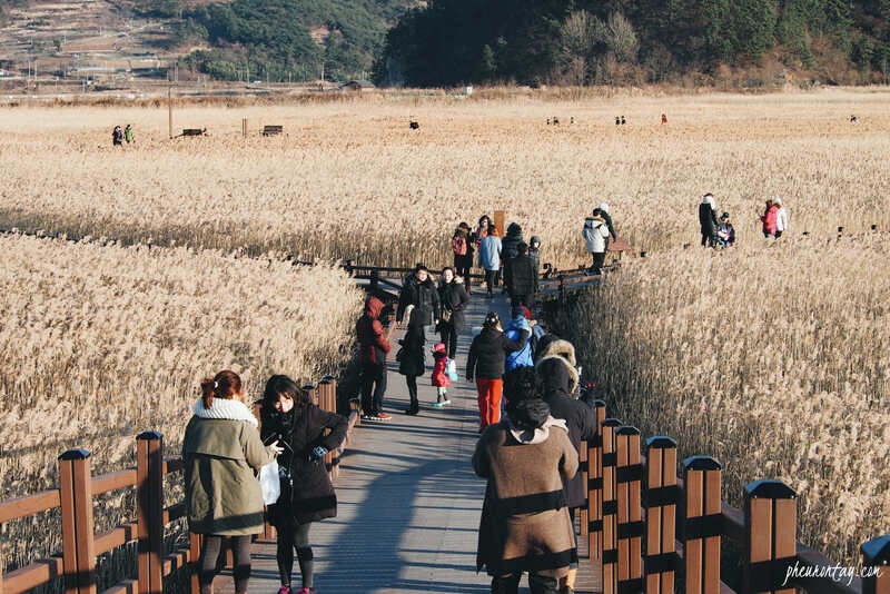 Công viên sinh thái Suncheon