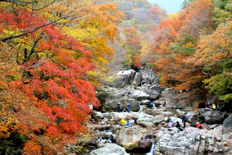 Thung lũng Cheonbuldong