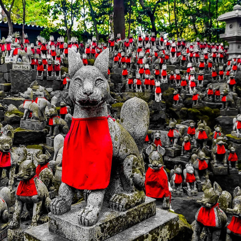 Đền Toyokawa Inari - đền thờ thần Inari với biểu tượng là cáo