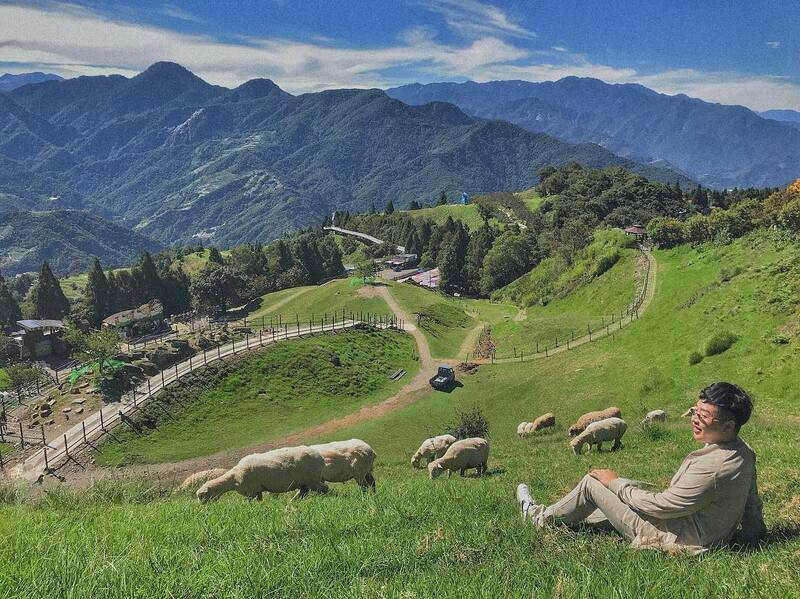 Nông trại cừu yên bình tại Đài Loan