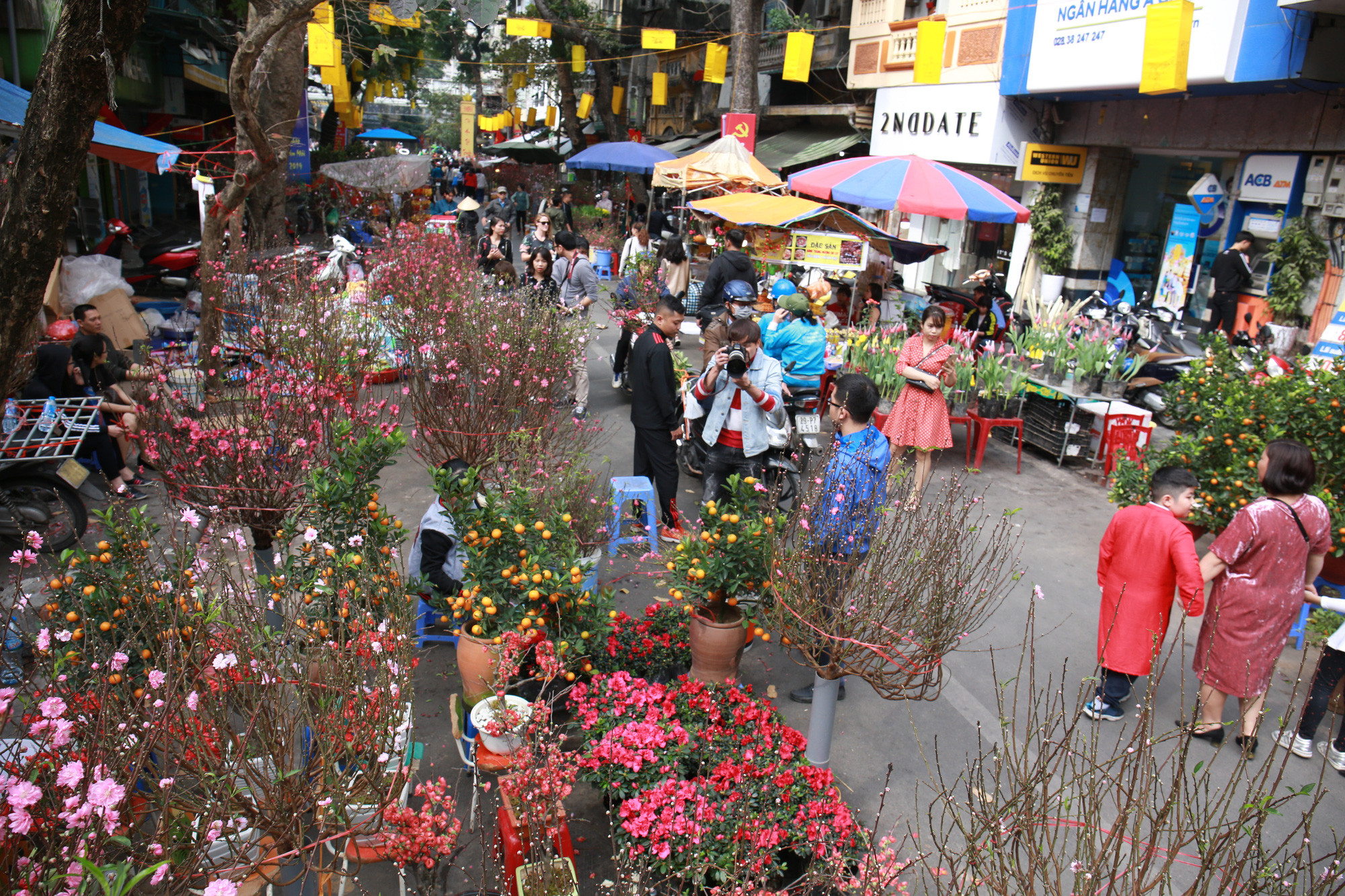 Chợ hoa ngày Tết  Báo An Giang Online