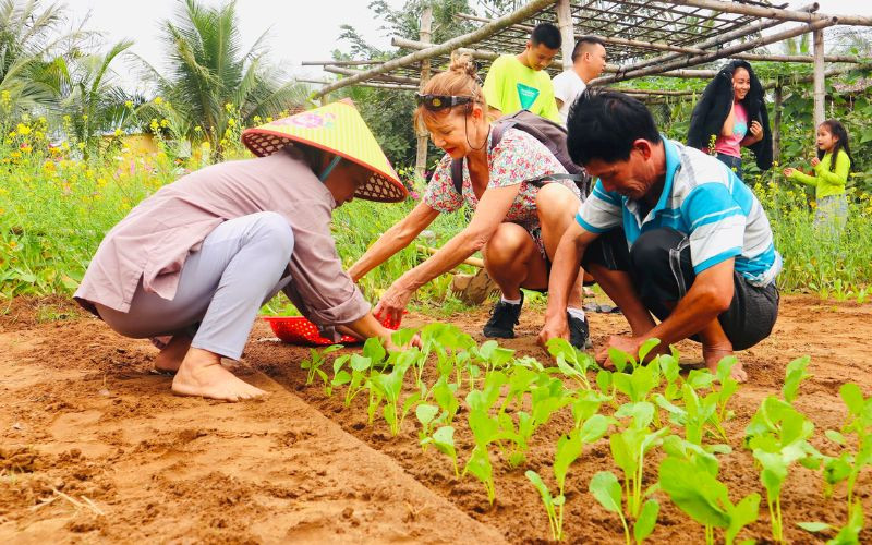 Du lịch nông nghiệp Hội An