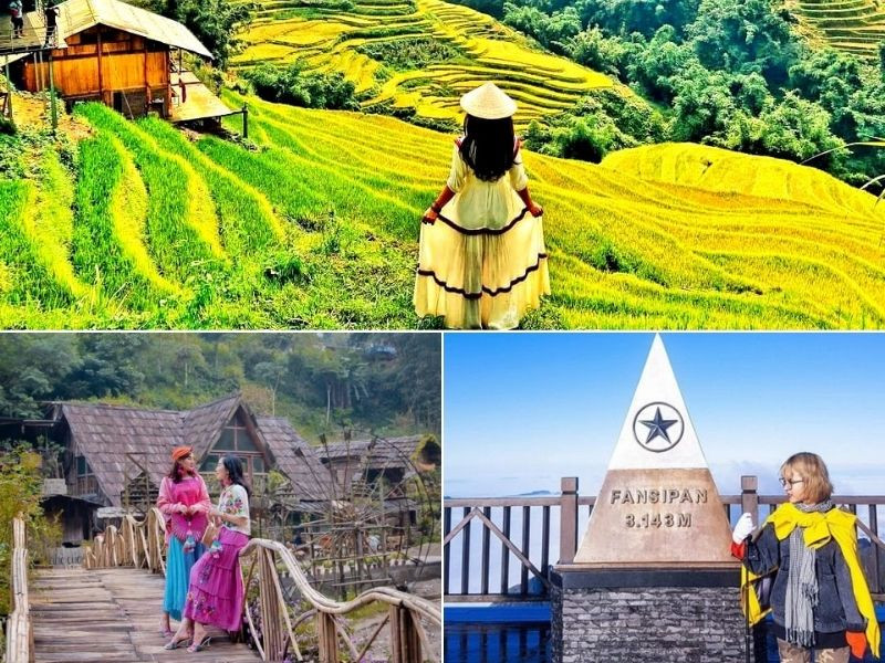 Sapa trong sắc thu với lúa chín và mây Sapa trong sắc thu với lúa chín và mây