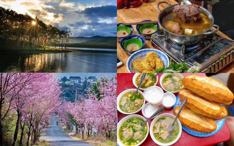 Du lịch Đà Lạt giá rẻ Du lịch Đà Lạt giá rẻ