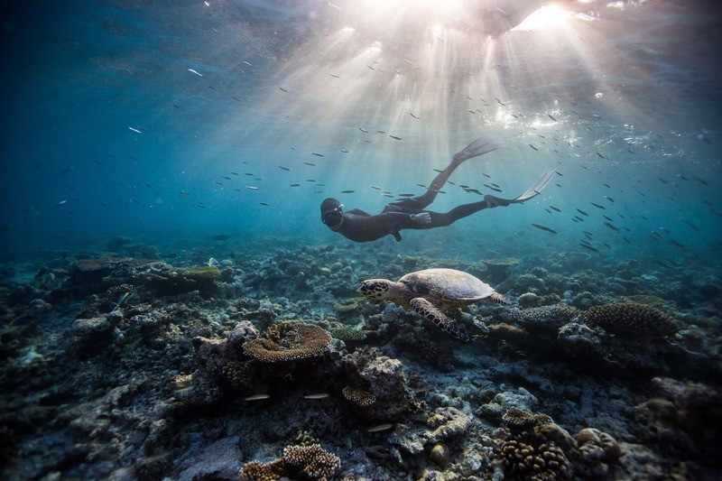 Tham gia bộ môn lặn tự do - Freediving