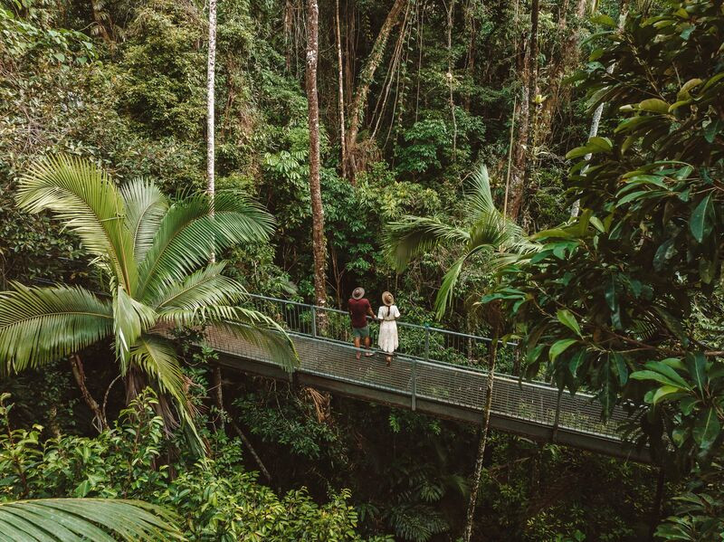 Đến Úc phiêu lưu vào khu rừng nhiệt đới hoang sơ