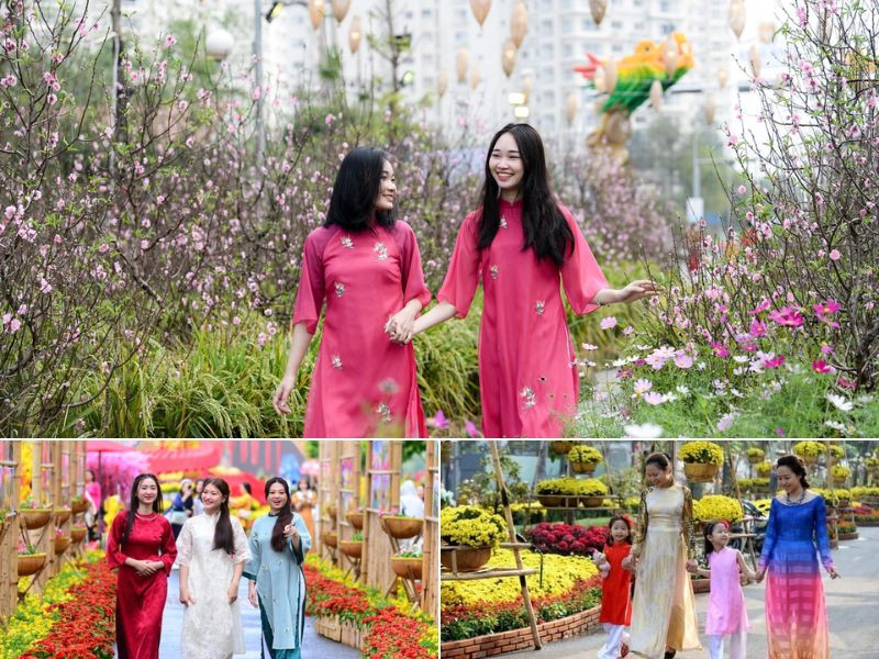 Du lịch tết trong nước - Thời tiết vô cùng đẹp Du lịch tết trong nước - Thời tiết vô cùng đẹp