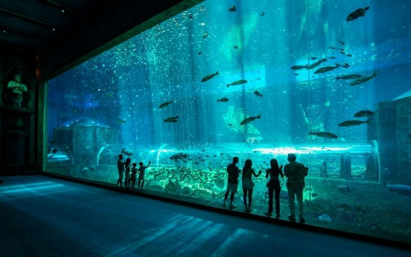 Ghé thăm Cung điện Hải Vương Phú Quốc - thủy cung lớn nhất ở Việt Nam