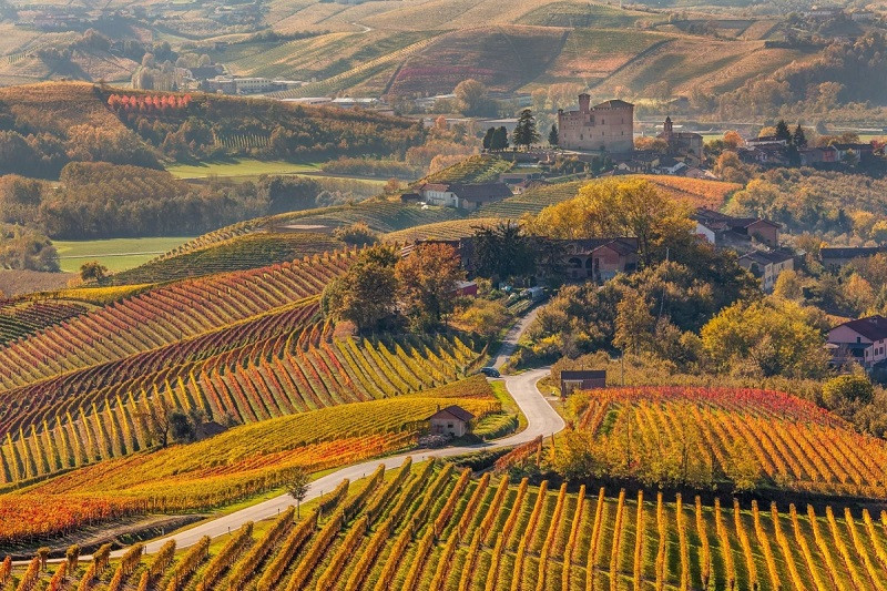 Mùa thu tại Piedmont, Italy đẹp và thơ mộng vô cùng.